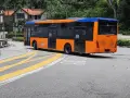 Pomarańczowo-niebieski autobus miejski na zakręcie drogi z żółtymi pasami.
