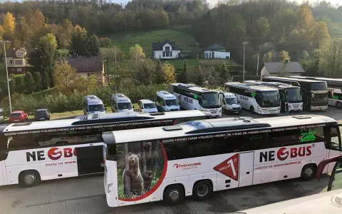 Neobus czy można kupić bilet u kierowcy? Sprawdź, jak to zrobić