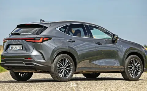 Szary Lexus NX 450h+ na drodze, w tle pole rzepaku. Sprawdź aktualną lexus nx cena.