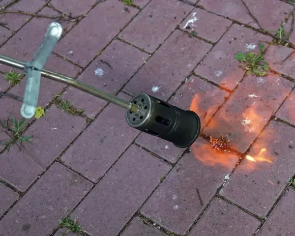 Skuteczne sposoby na usunięcie trawy z chodnika bez chemii