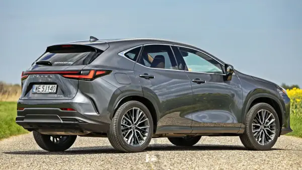 Szary Lexus NX 450h+ na drodze, w tle pole rzepaku. Sprawdź aktualną lexus nx cena.